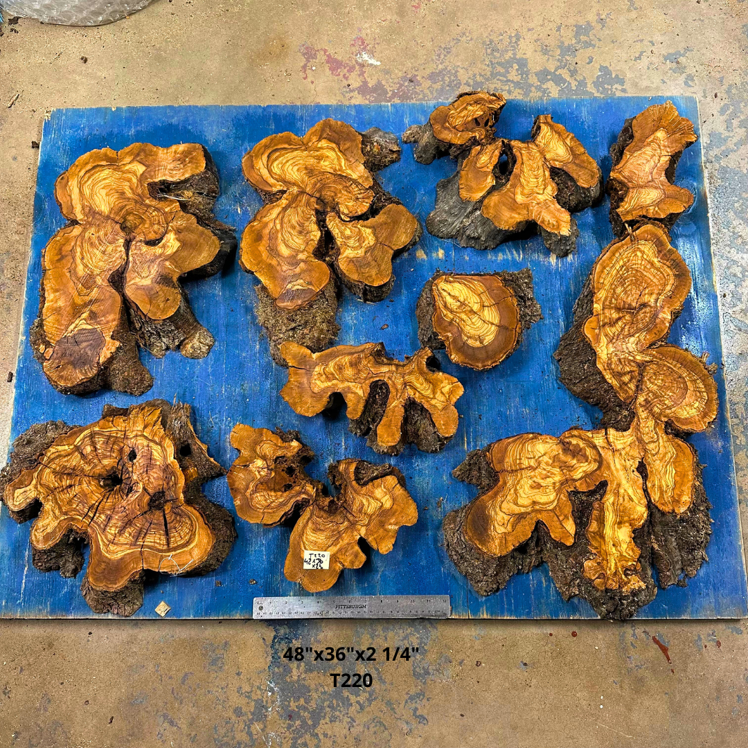 Set of Olive Wood Cookies  48"x36"x2 1/4" T220