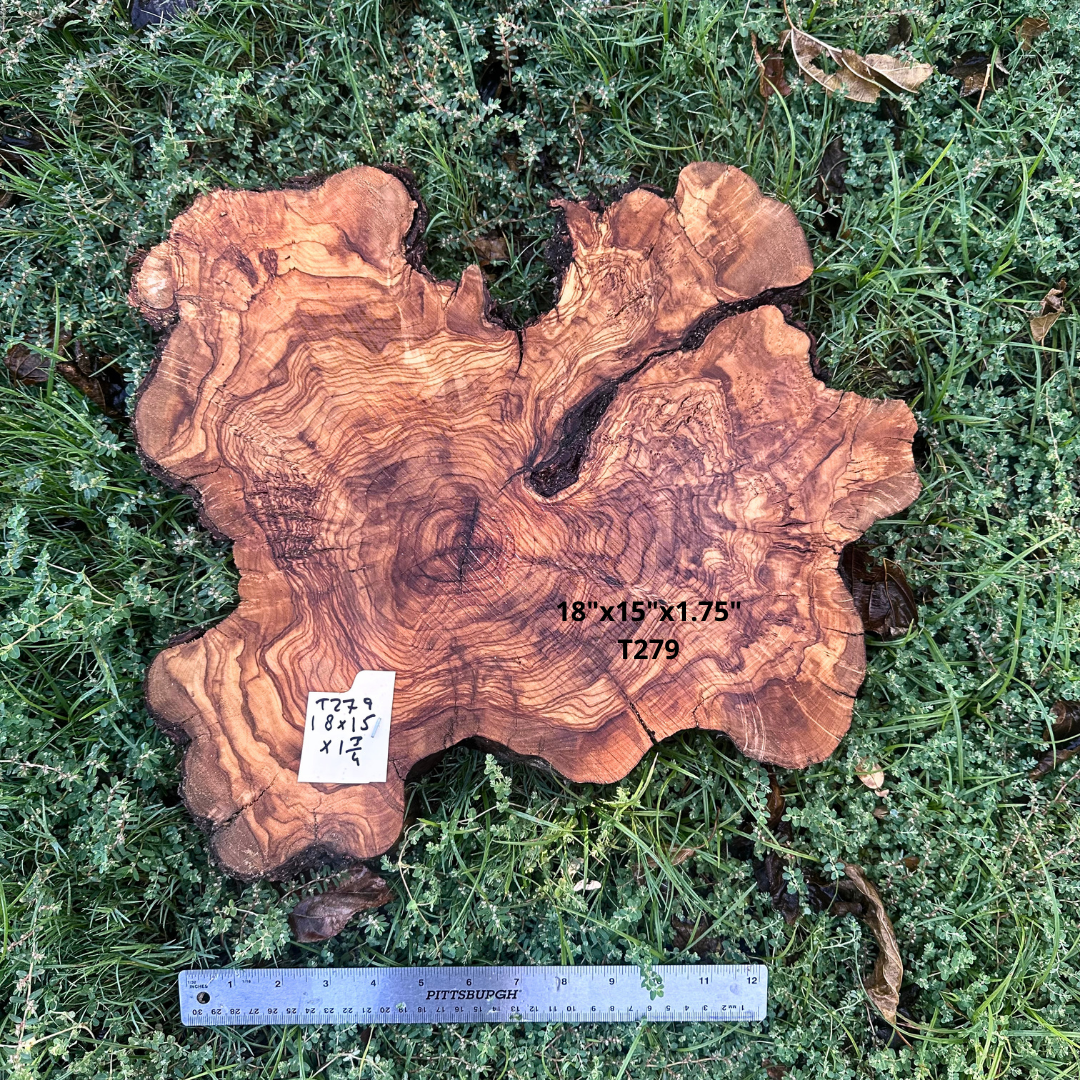 Live Edge Olive Cookie 18"x15"x1.75" T279