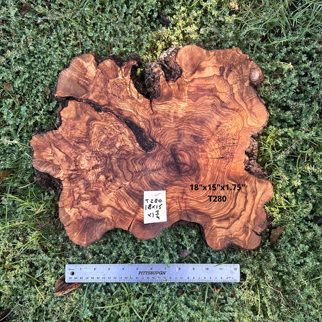 Live Edge Olive Cookie 18"x15"x1.75" T280