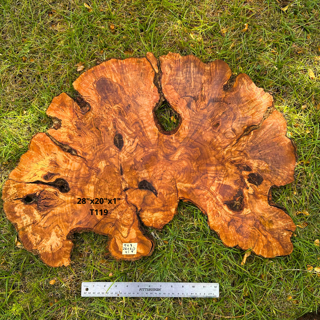 Live Edge Olive Slice 28"x20"x1" T119