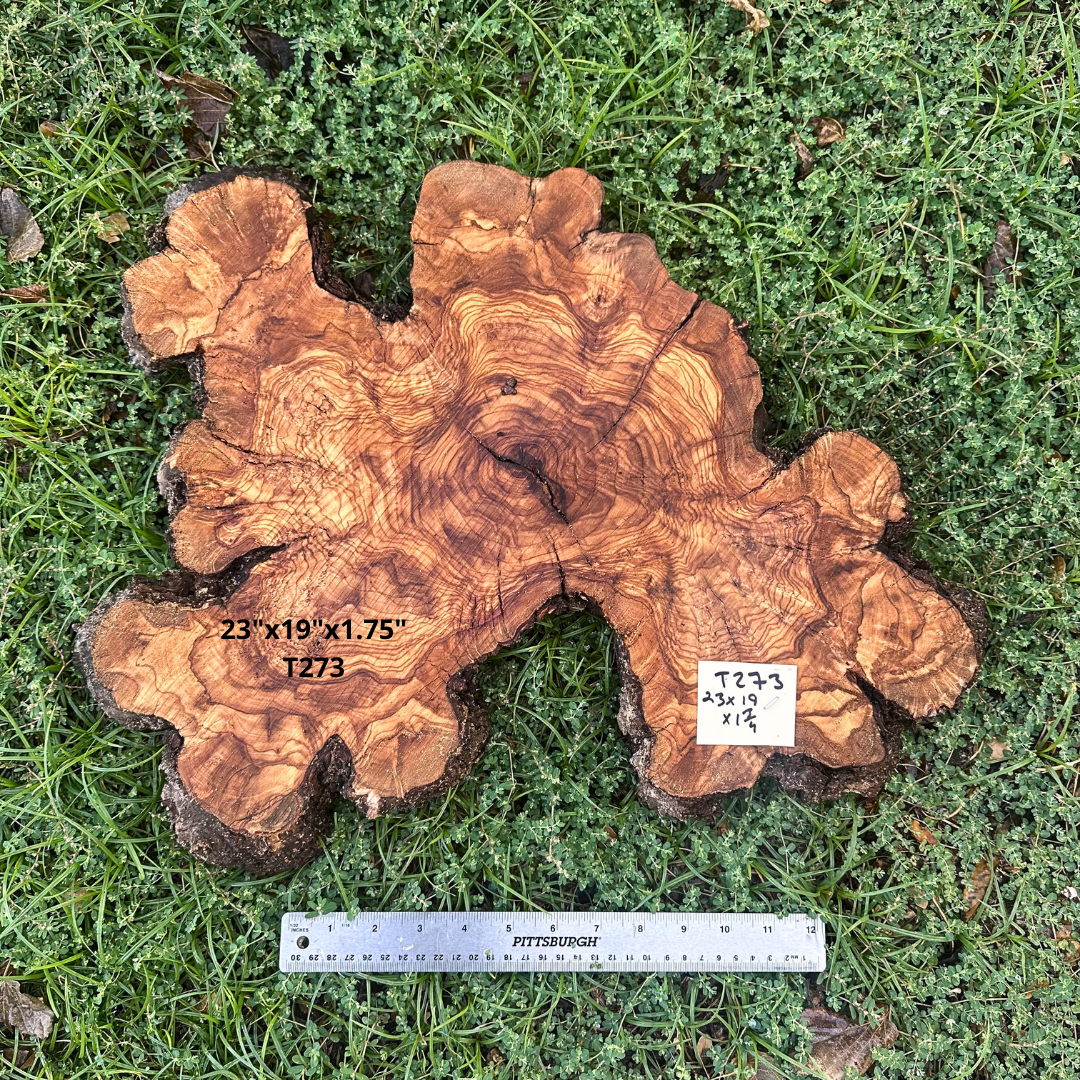 Live Edge Olive Cookie 23"x19"x1.75" T273