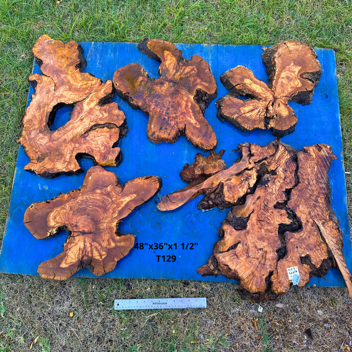 Sets of Live Edge Olive Wood Cookies