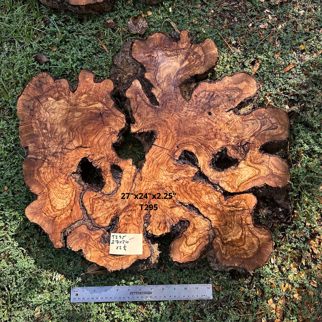 Live Edge Olive Cookie 27"x24"x2.25" T295