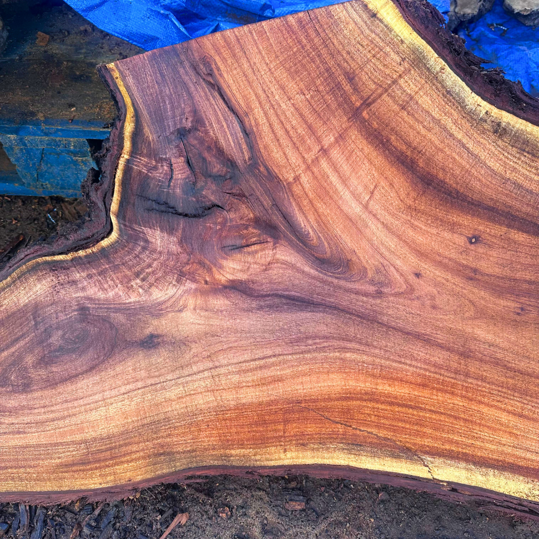 Mesquite Slab 32"x11"x1.25" T400