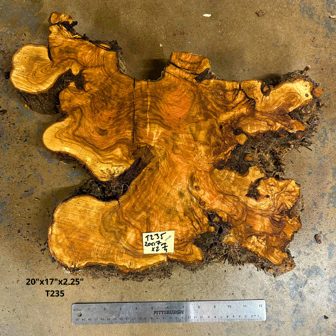 Live Edge Olive Cookie 20"x17"x2.25" T246