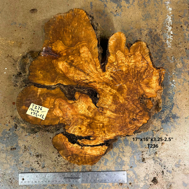 Live Edge Olive Cookie 17"x16"x3.25-2.5" T247