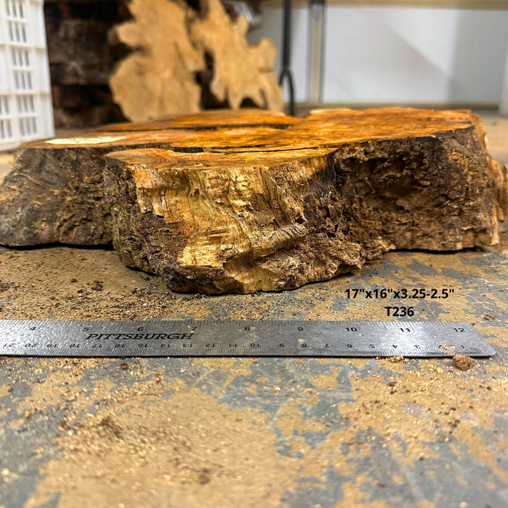 Live Edge Olive Cookie 17"x16"x3.25-2.5" T247