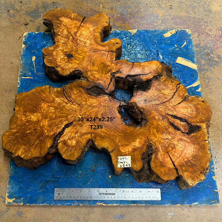Olive Wood Cookie 30"x24"x2.25" T250