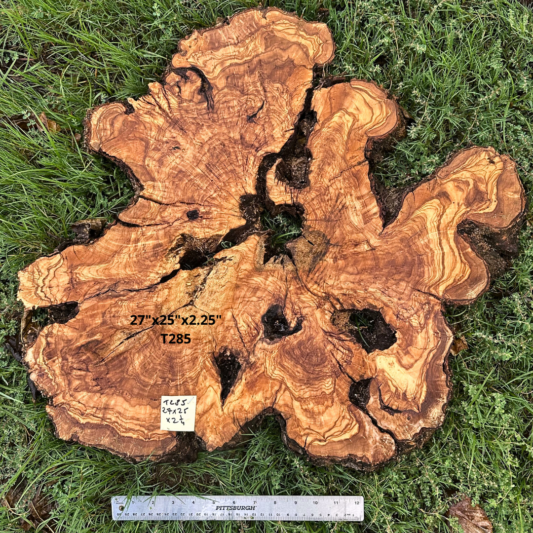 Live Edge Olive Cookie 27"x25"x2.25" T285
