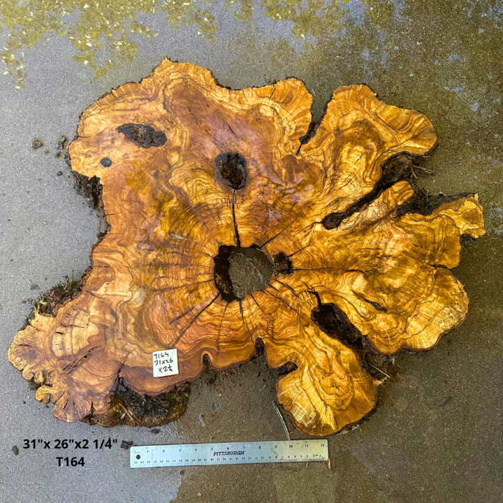 Large Live Edge Olive Cookie 31"x 26"x2 1/4" T164