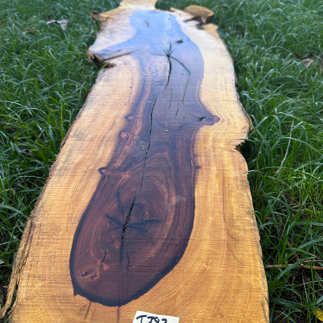 Desert Ironwood 56x15x2” T392