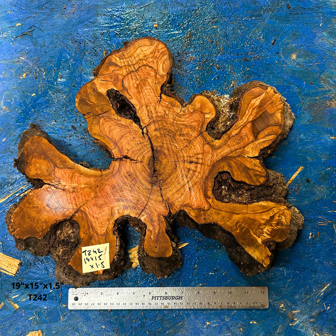 Olive Wood Cookie 19"x15"x1.5" T242