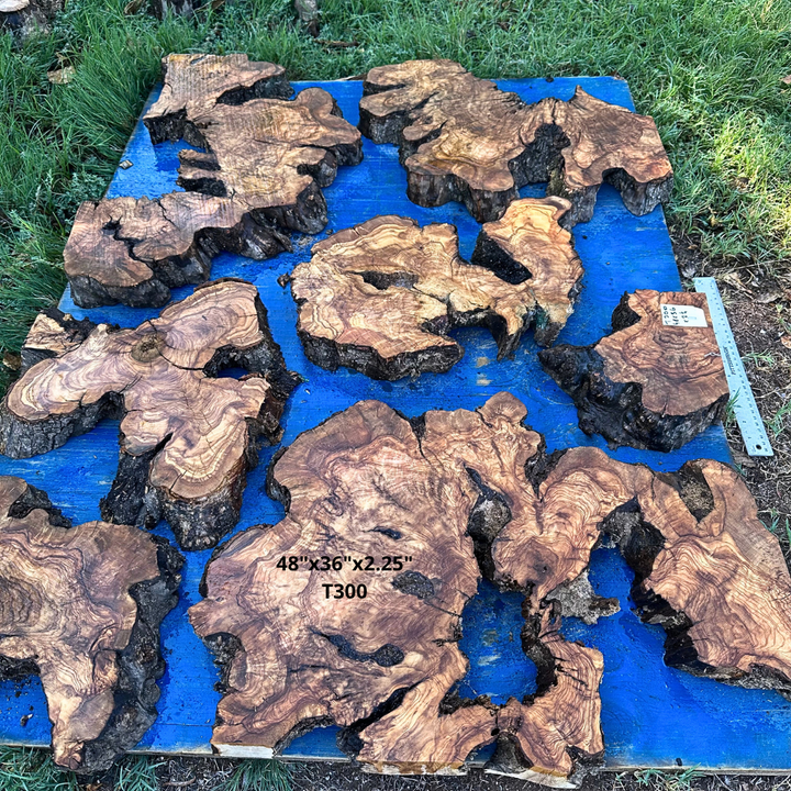 Set of Olive Slices 48"x36"x2.25" T300