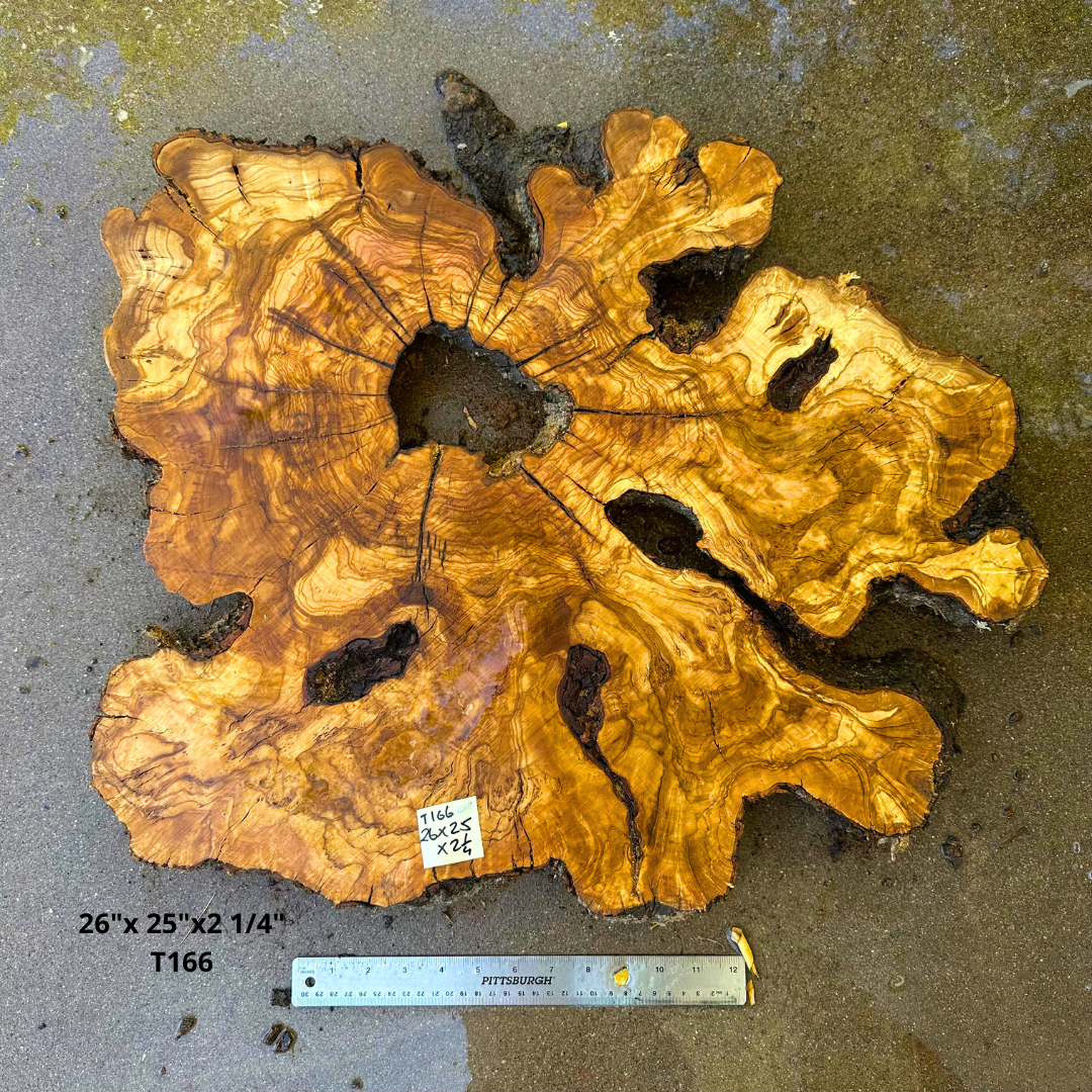 Large Live Edge Olive Cookie 26"x 25"x2 1/4" T166