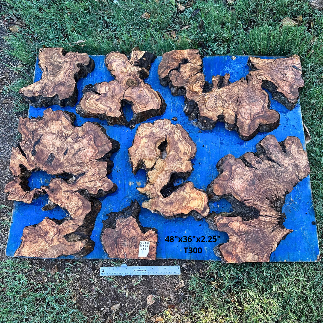Set of Olive Slices 48"x36"x2.25" T300