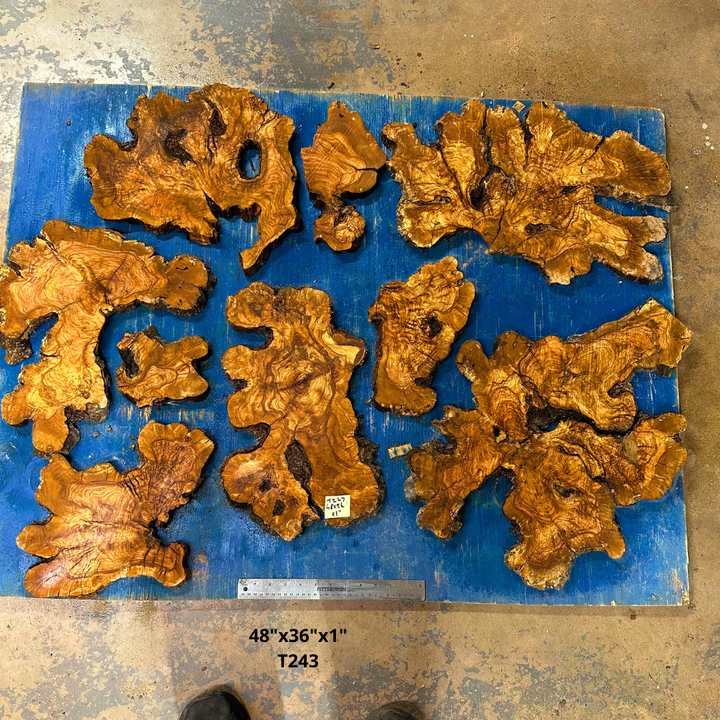Set of Olive Wood Cookies  48"x36"x1" T243