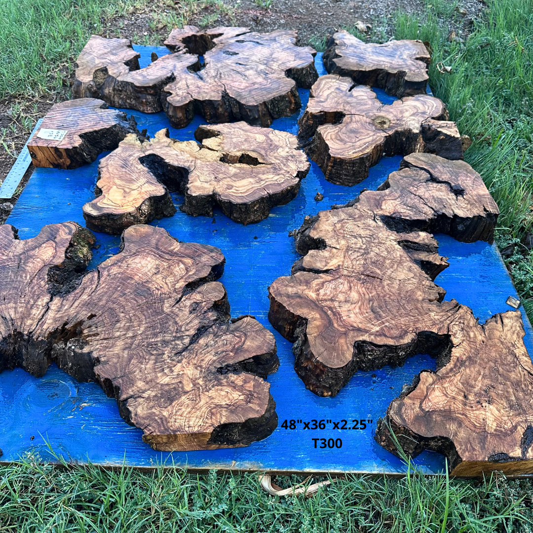 Set of Olive Slices 48"x36"x2.25" T300