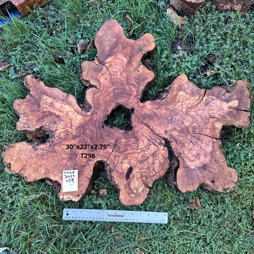 Olive Wood Slice 30"x23"x2.75" T298