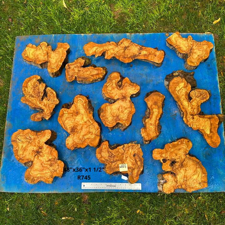 Set of Olive Wood Cookies 48"x36"x1 1/2" R745