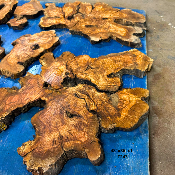 Set of Olive Wood Cookies  48"x36"x1" T243