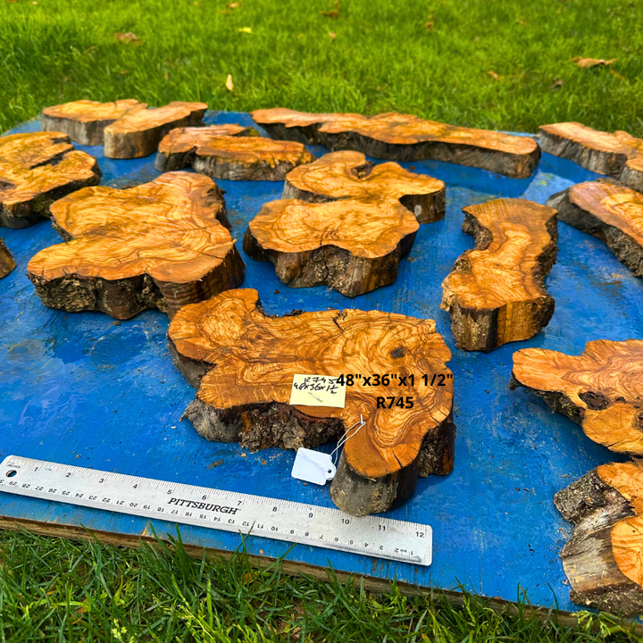 Set of Olive Wood Cookies 48"x36"x1 1/2" R745