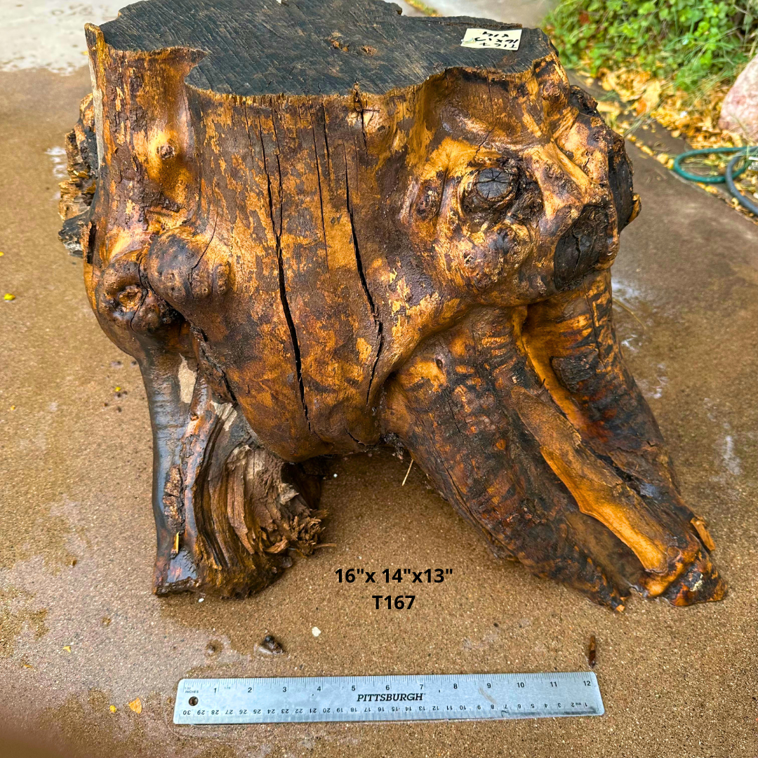 Olive Wood Stock for Turning 16"x 14"x13" T167