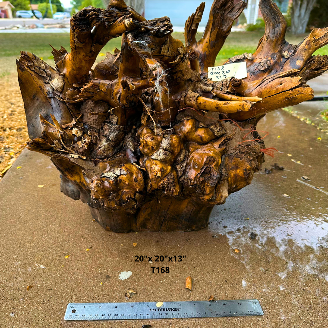 Olive Wood Stock for Turning 20"x 20"x13" T168