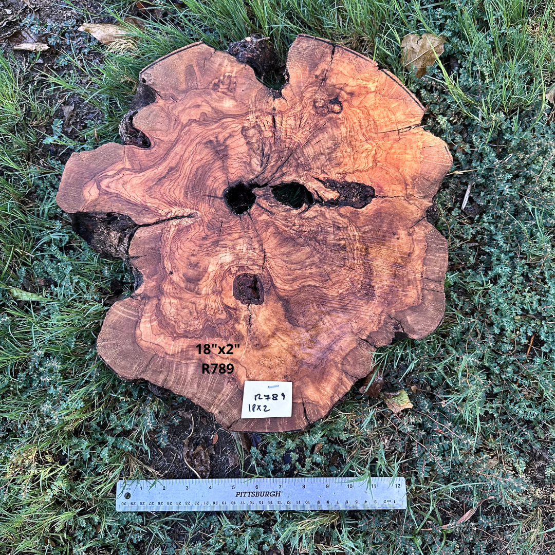 18" Pre Cut Round Olive Wood Slice 18"x2" R789