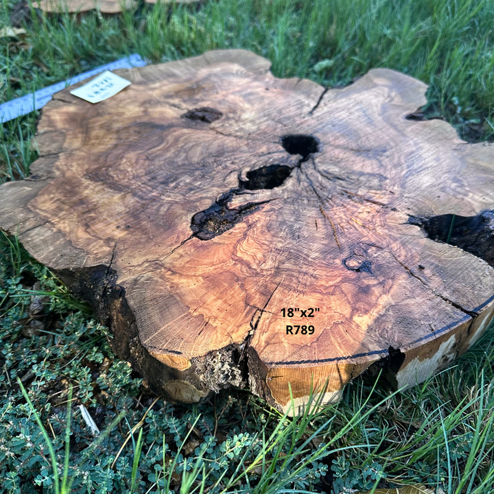 18" Pre Cut Round Olive Wood Slice 18"x2" R789