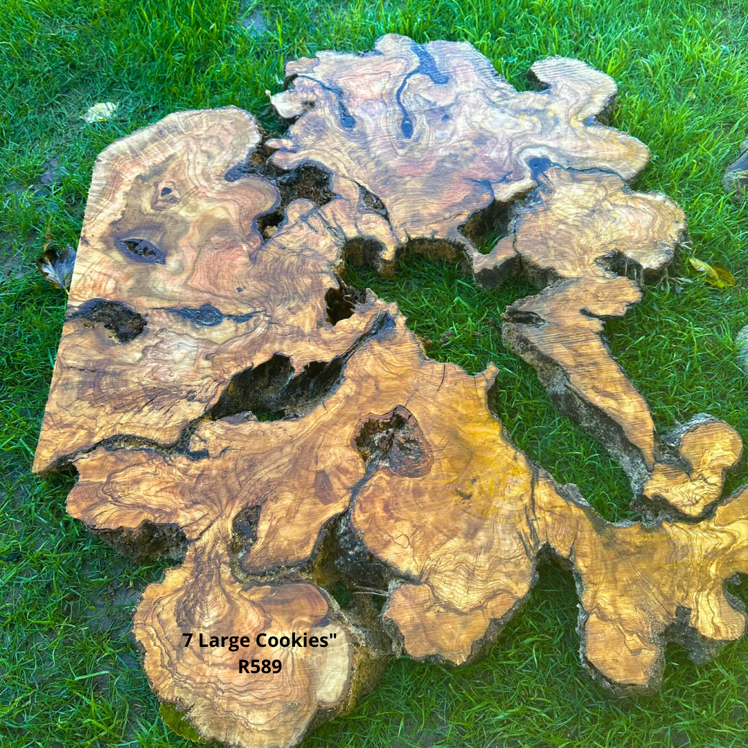 7 Extra Large Olive Slices R589