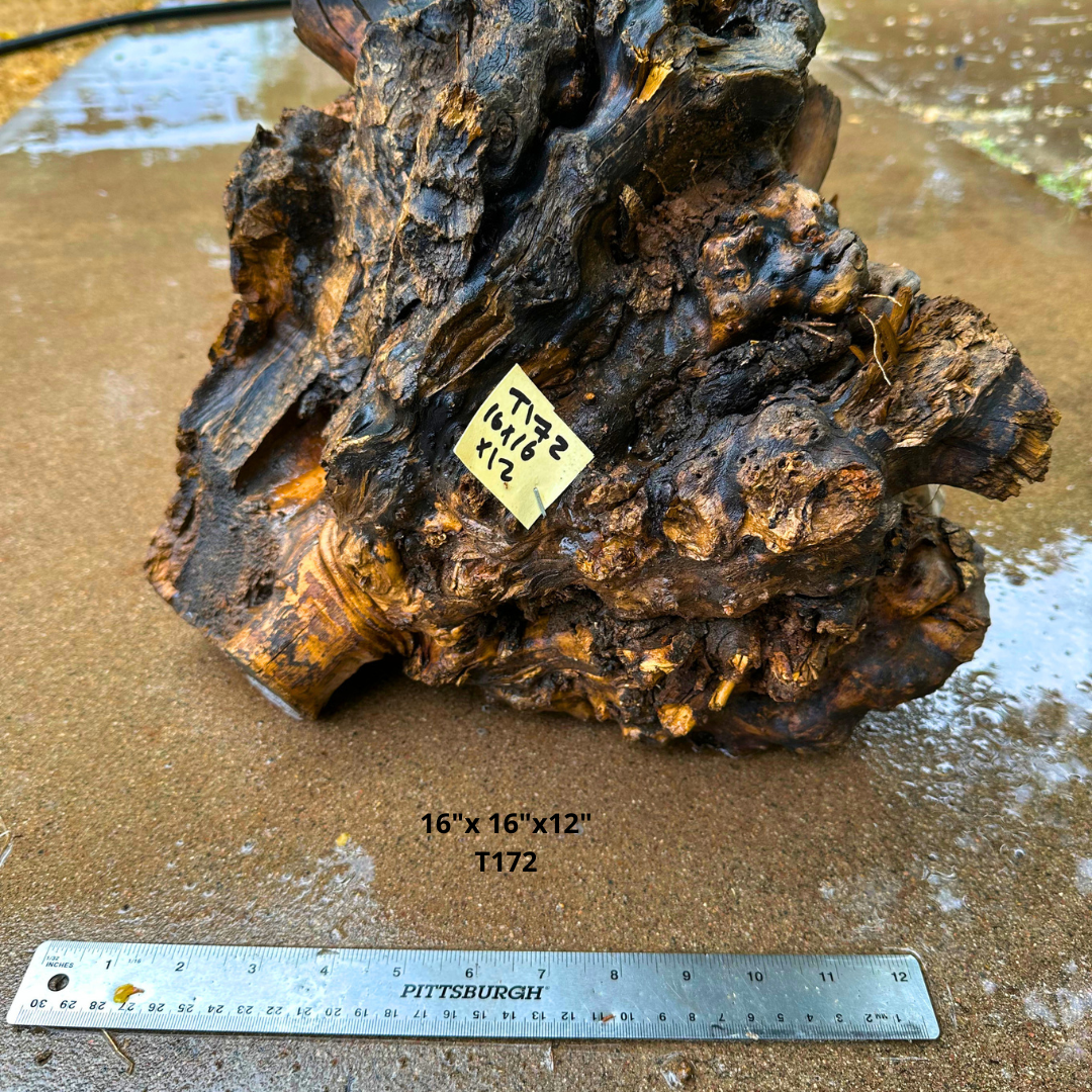 Olive Wood Stock for Turning 16"x 16"x12" T172