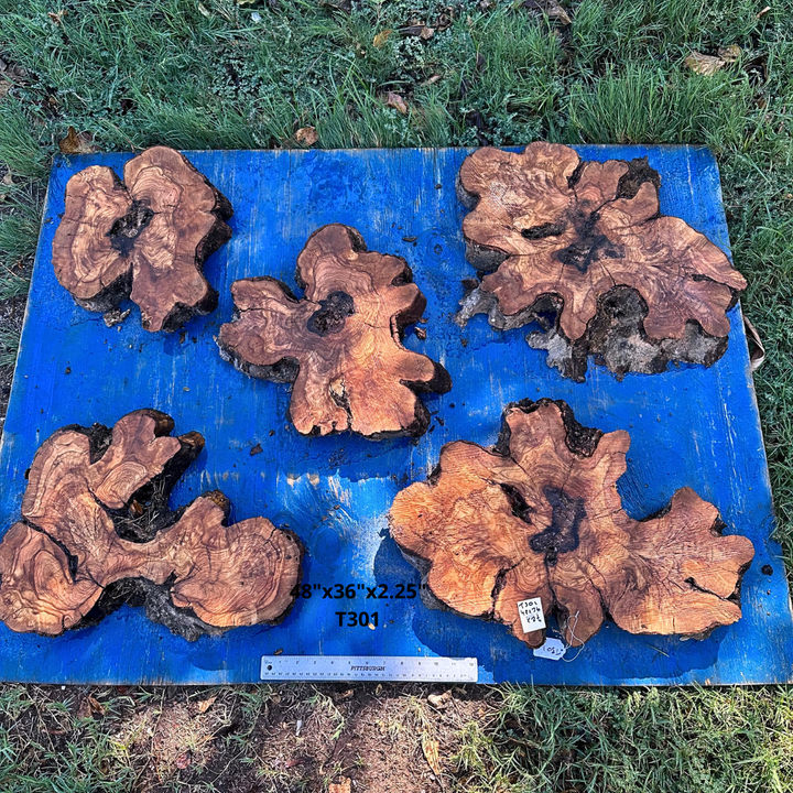 Set of Olive Wood Cookies 48"x36"x2.25" T301