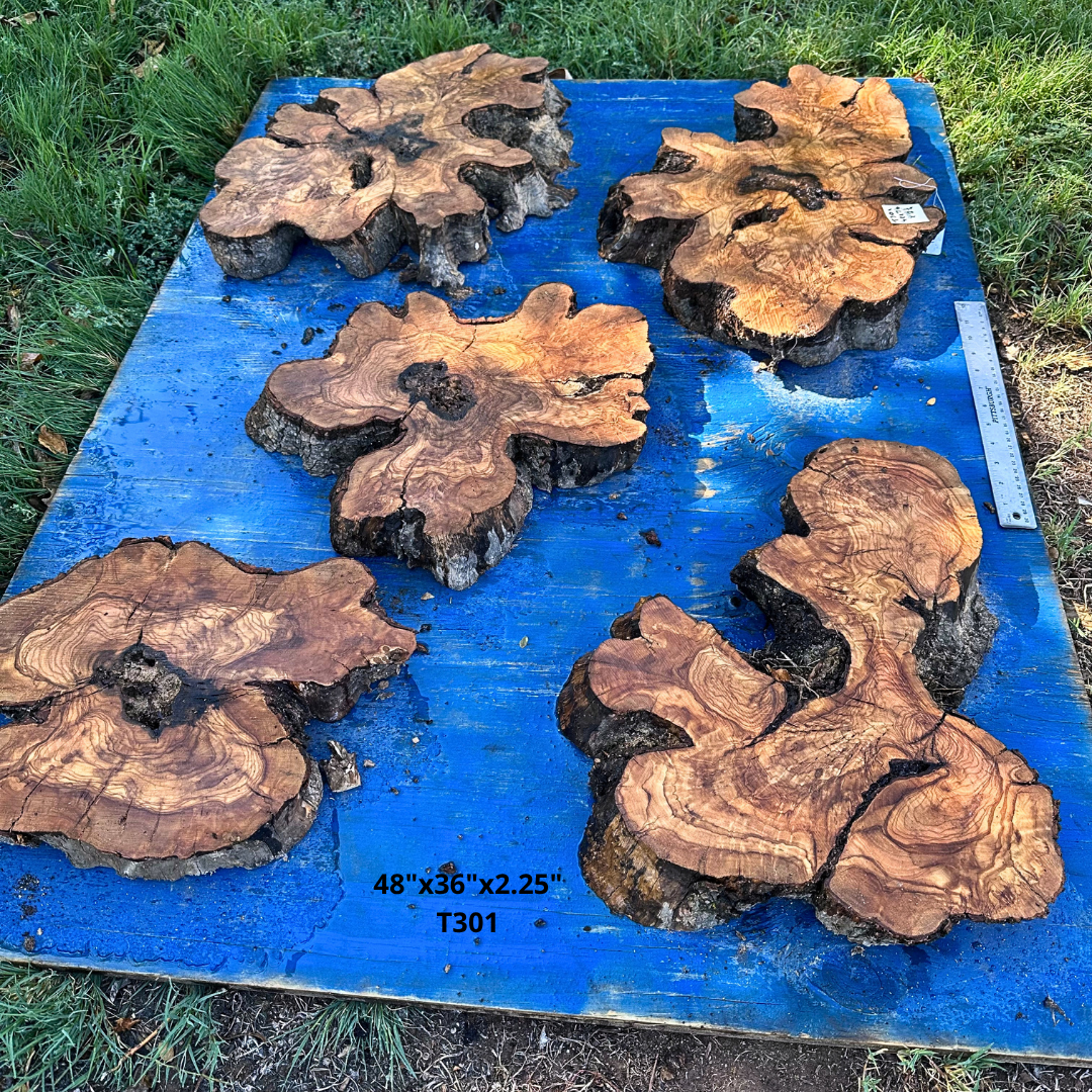 Set of Olive Wood Cookies 48"x36"x2.25" T301