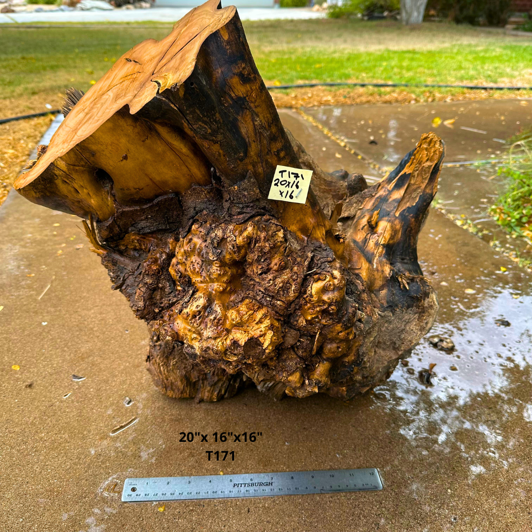 Olive Wood Stock for Turning 20"x 16"x16" T171