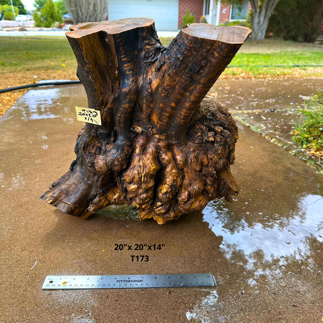 Olive Wood Stock for Turning 20"x 20"x14" T173