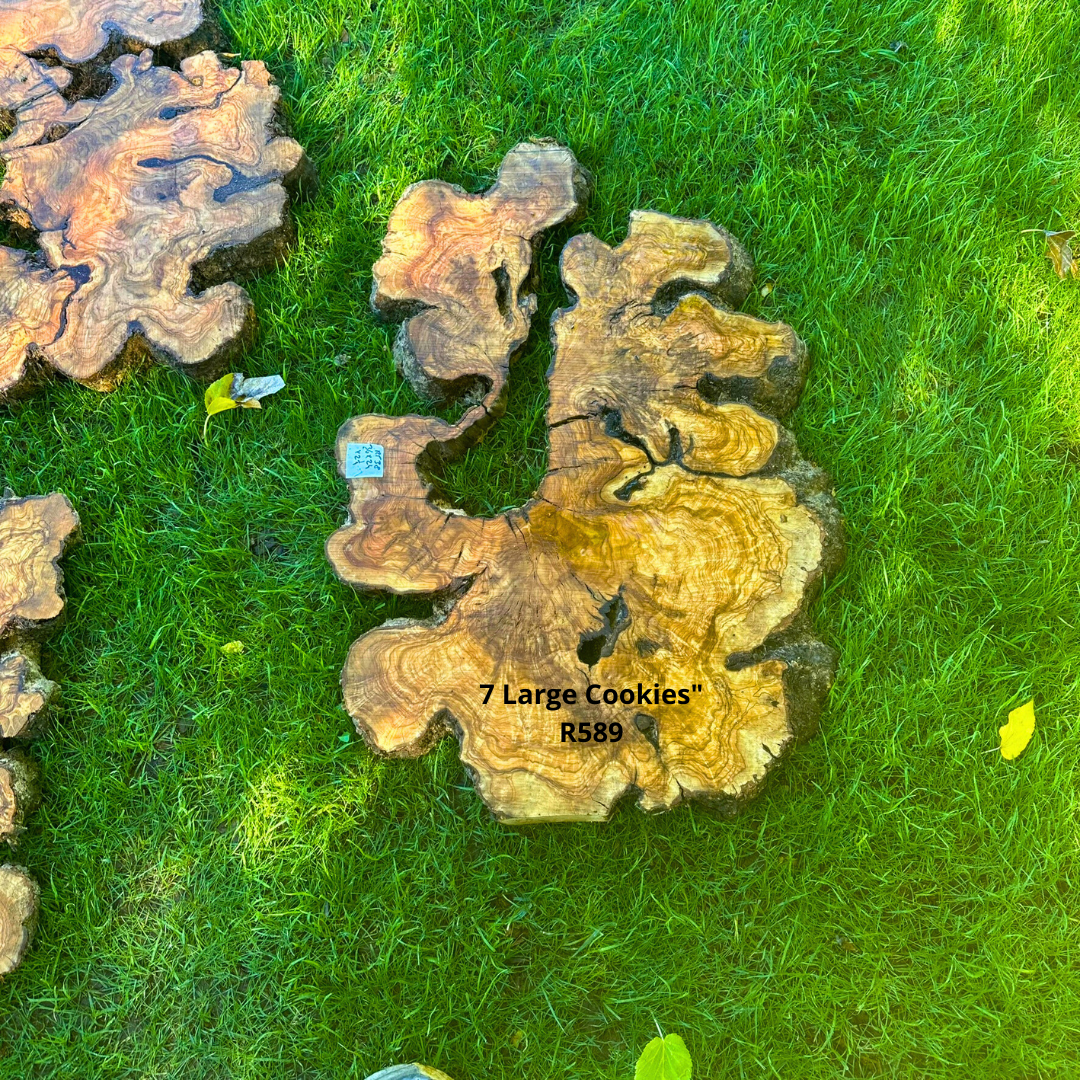 7 Extra Large Olive Slices R589