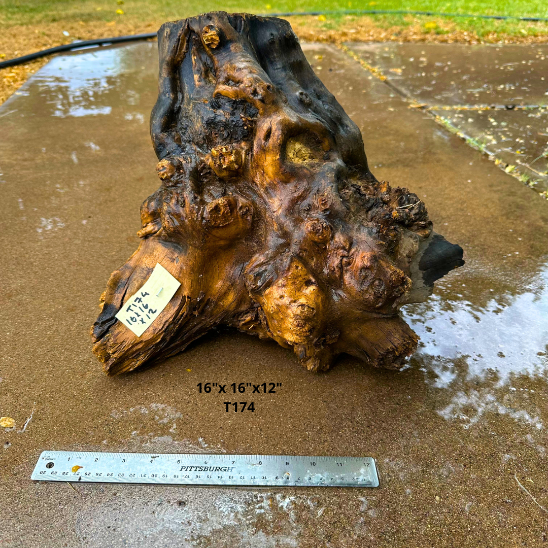 Olive Wood Stock for Turning 16"x 16"x12" T174