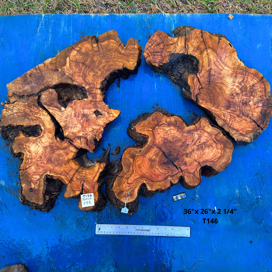 Live Edge Olive Slices 36"x 26"x 2 1/4" T146