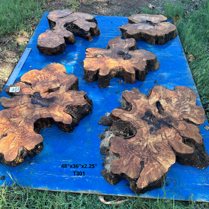 Set of Olive Wood Cookies 48"x36"x2.25" T301