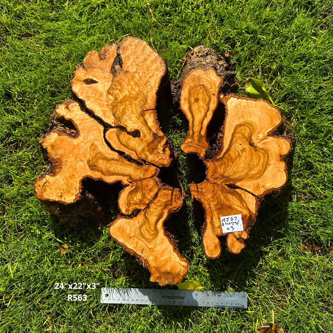 Olive Wood Cookie in 2 pieces 24"x22"x3" R563