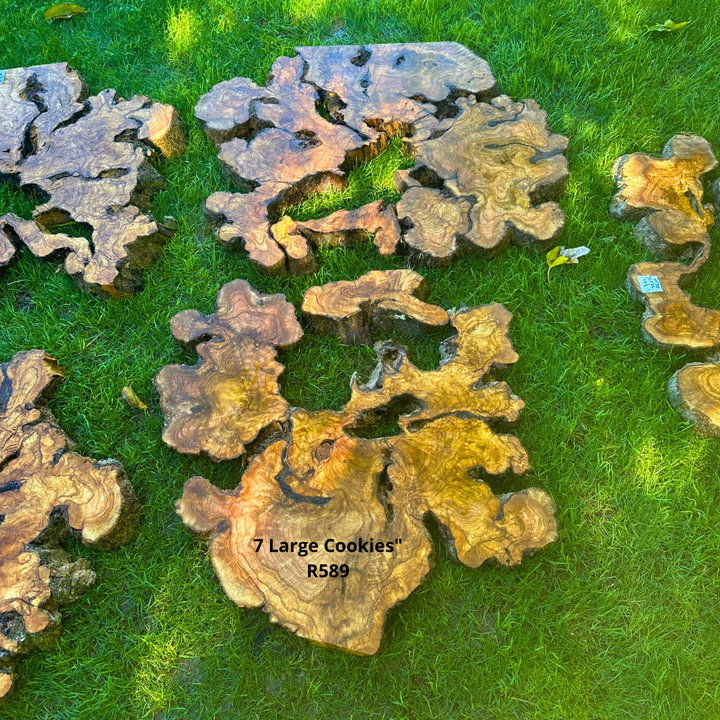 7 Extra Large Olive Slices R589