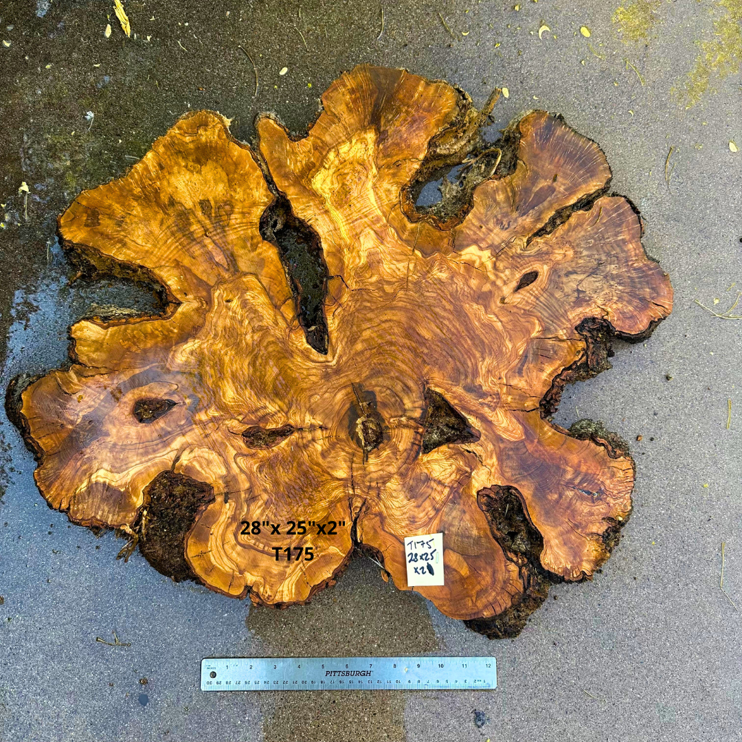 Large Live Edge Olive Cookie 28"x 25"x2" T175