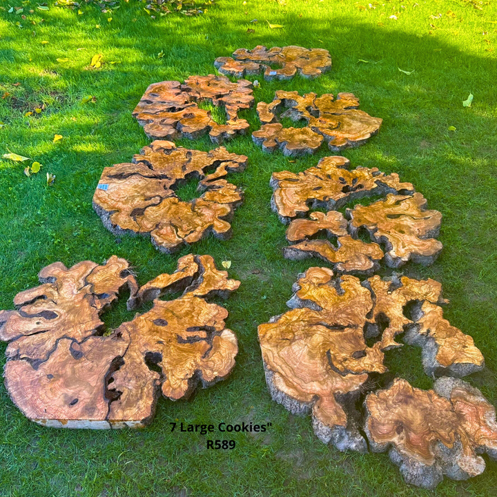 7 Extra Large Olive Slices R589