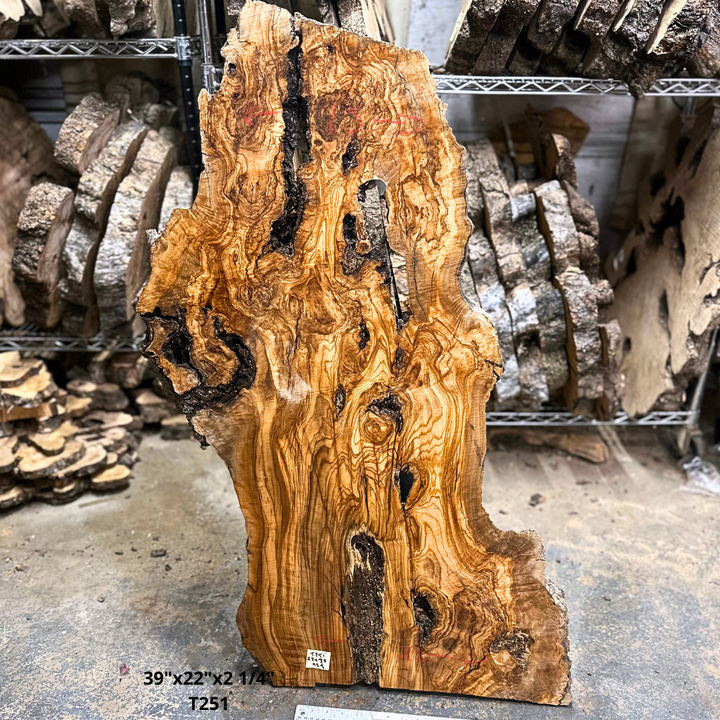 Large Unfinished Olive Wood Slab 39"x22"x2 1/4" T251