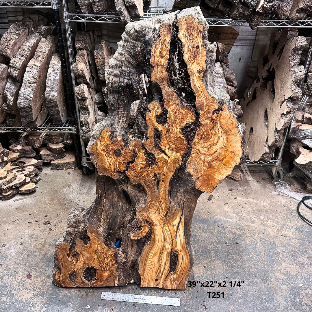 Large Unfinished Olive Wood Slab 39"x22"x2 1/4" T251