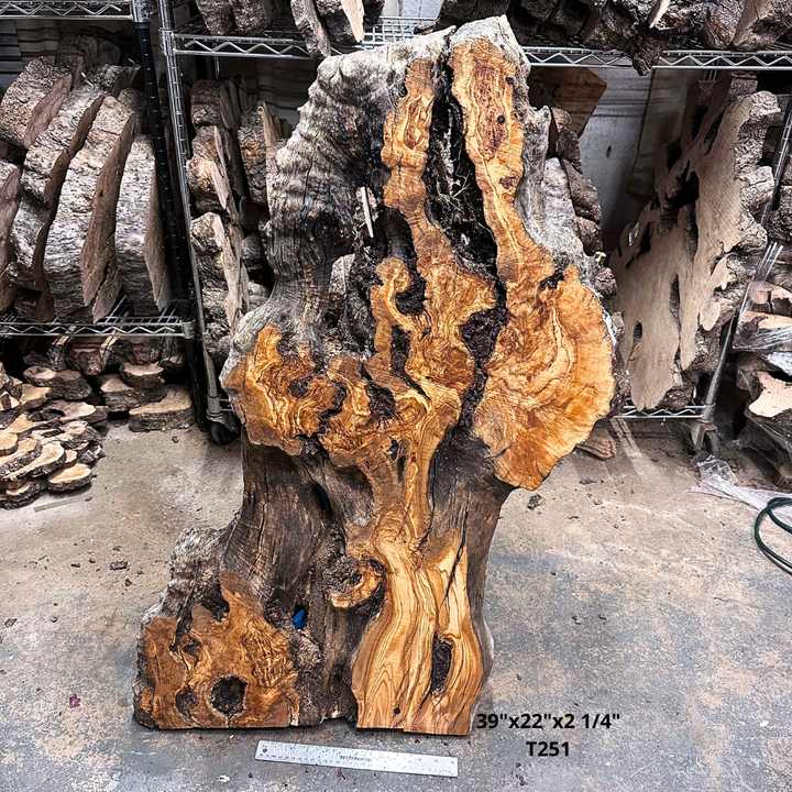 Large Unfinished Olive Wood Slab 39"x22"x2 1/4" T251