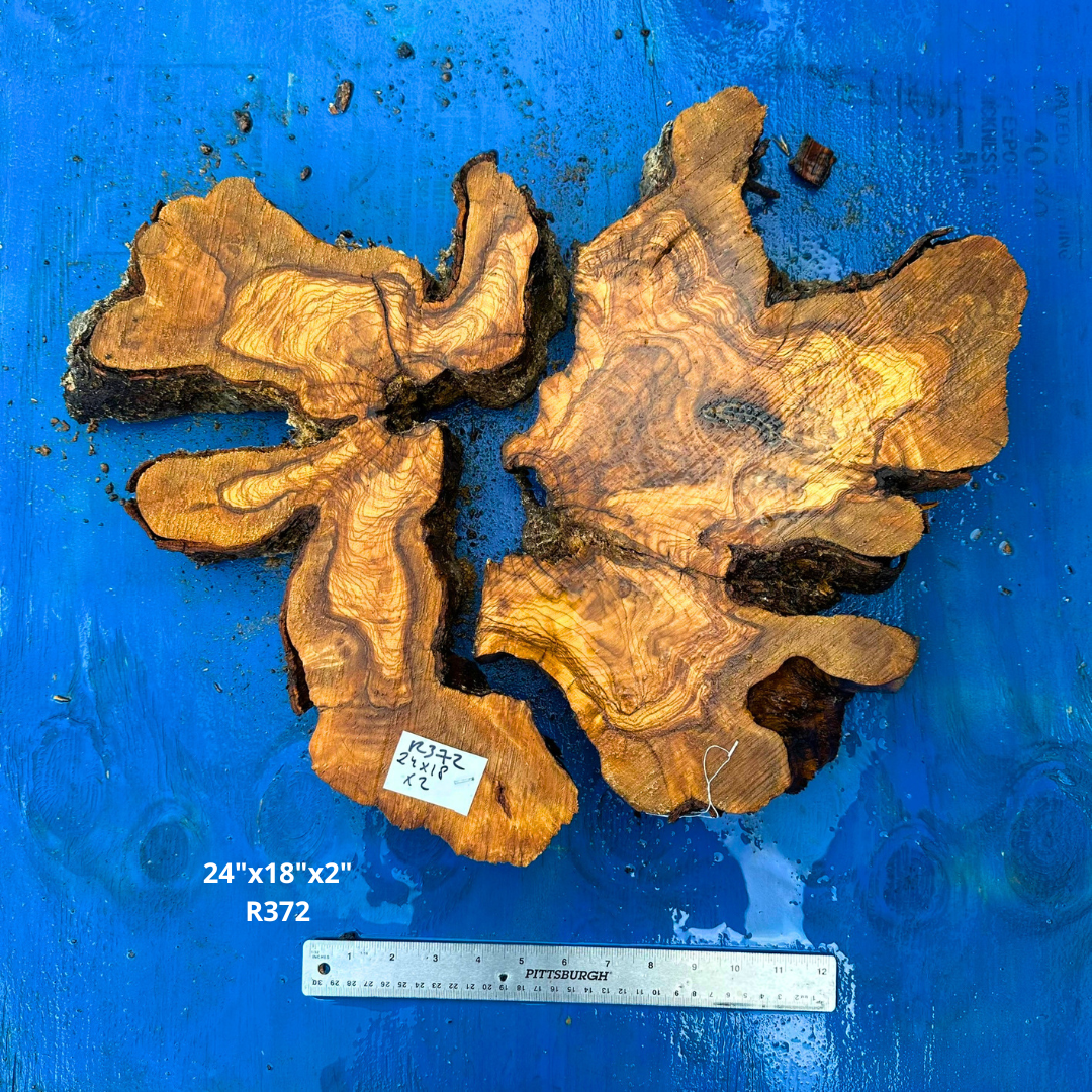 Live Edge Olive Wood Cookie 24"x18"x2" R372