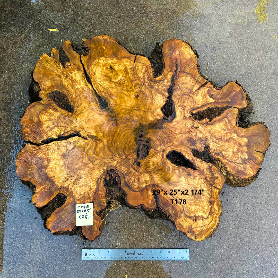 Large Live Edge Olive Cookie 29"x 25"x2 1/4" T178