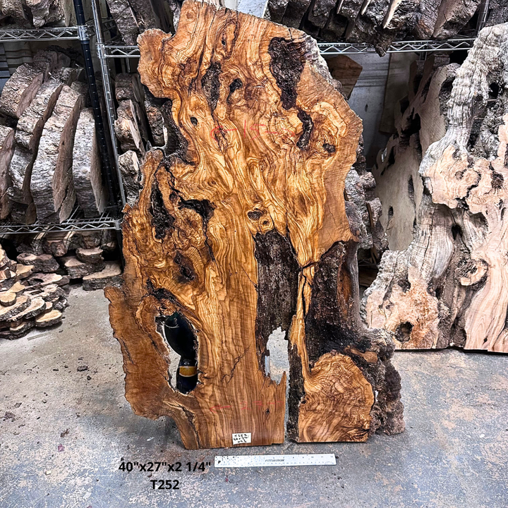 Large Unfinished Olive Wood Slab 40"x27"x2 1/4" T252
