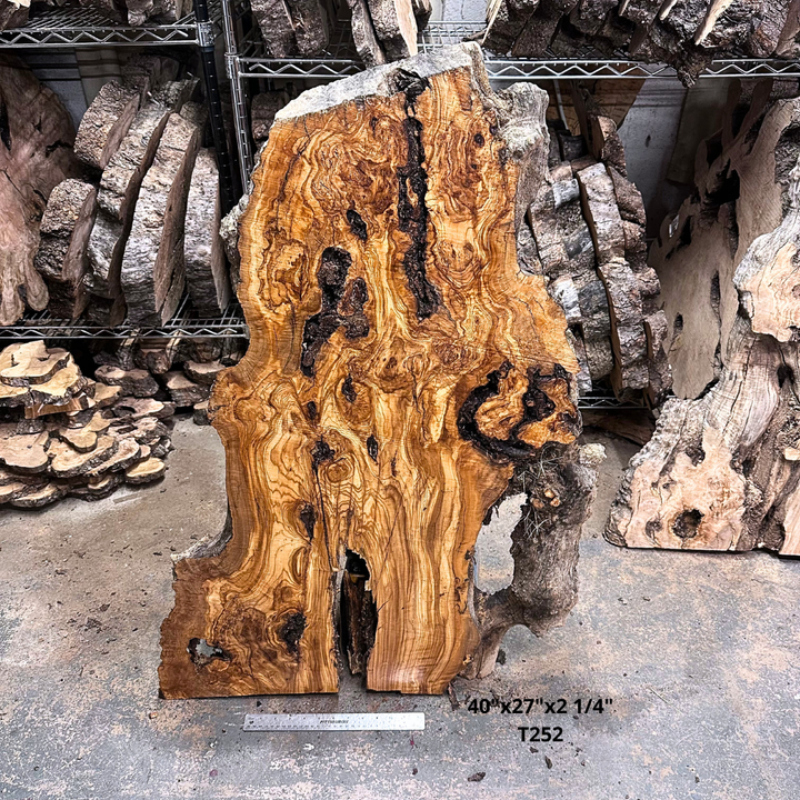 Large Unfinished Olive Wood Slab 40"x27"x2 1/4" T252